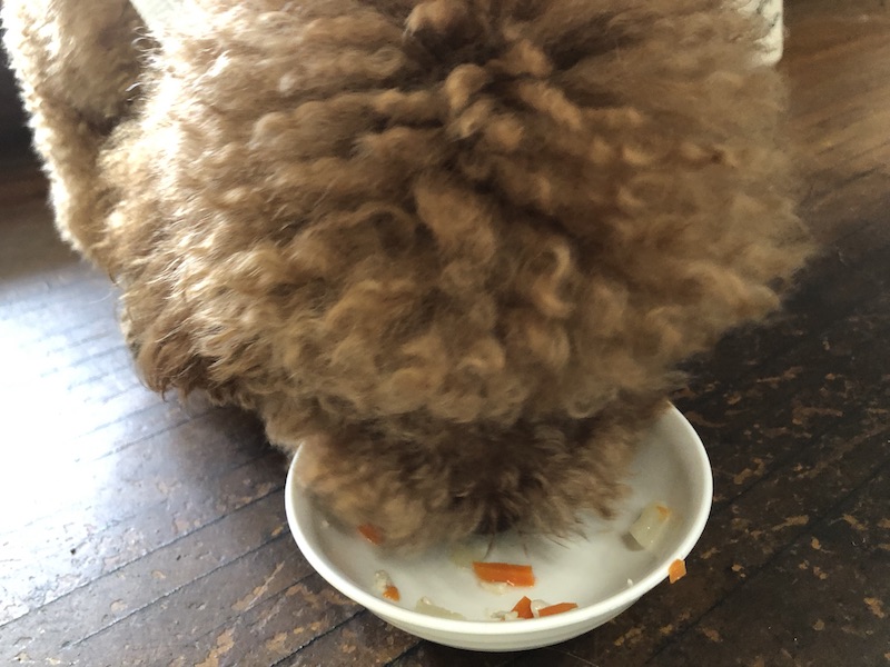 「モンジュリコーヒーハウス」の犬用スープ