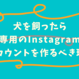 犬を飼ったら犬専用のinstagramのアカウントを作るべき理由 れおはなブログ