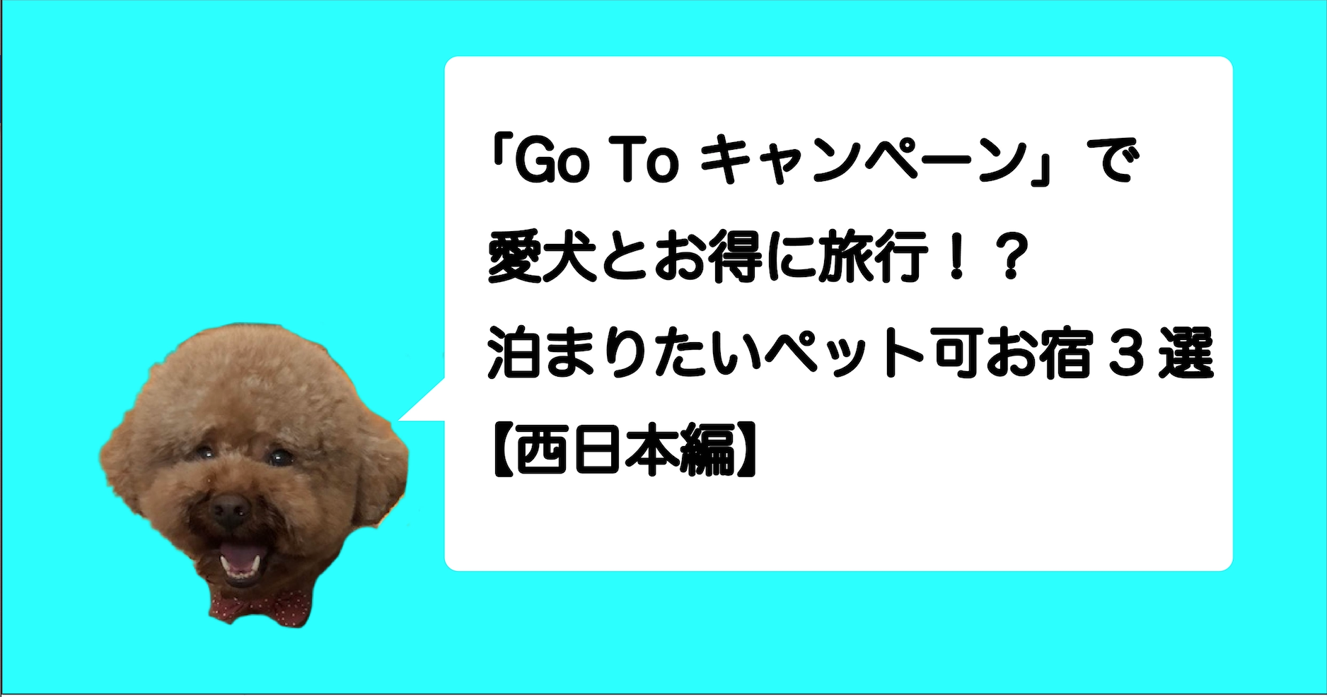 Go To キャンペーン で愛犬とお得に旅行 泊まりたいペット可お宿3選 西日本編 レオろぐ