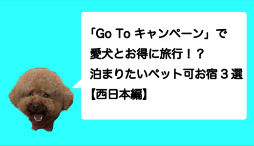 「Go To キャンペーン」で愛犬とお得に旅行！？泊まりたいペット可お宿3選！【西日本編】